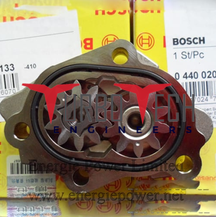 Fuel Gear Pump 0440020133, 0440020060 For CP1H