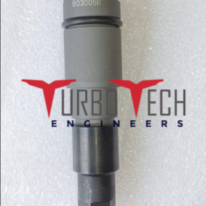 Common Fuel Injector B03005B For Delphi